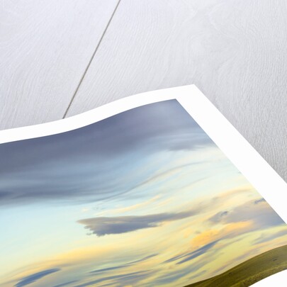 Prairie under Cloudy Sky at Sunset by Anonymous