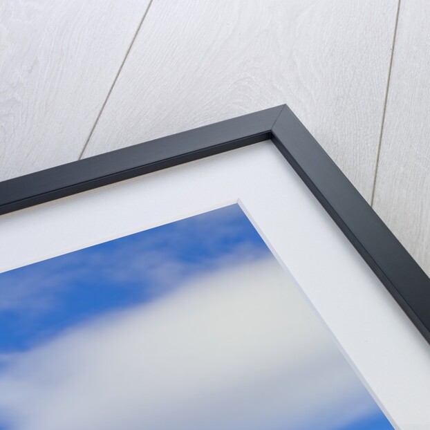 Clouds in Sky by Anonymous