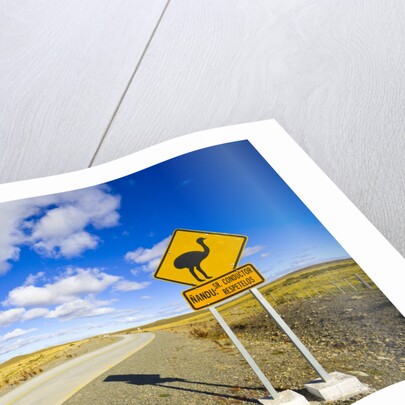 Greater Rhea Crossing Sign on Rural Road by Anonymous