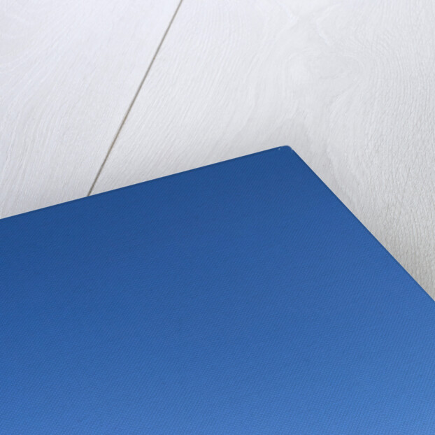 Clear Sky above Grassland by Anonymous