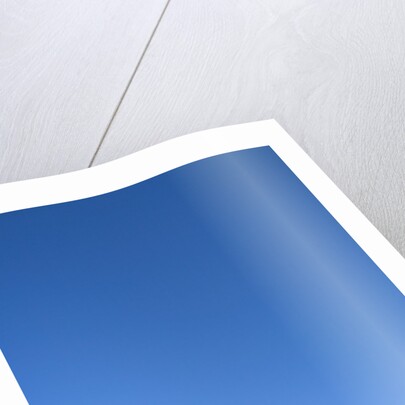 Clear Sky above Grassland by Anonymous