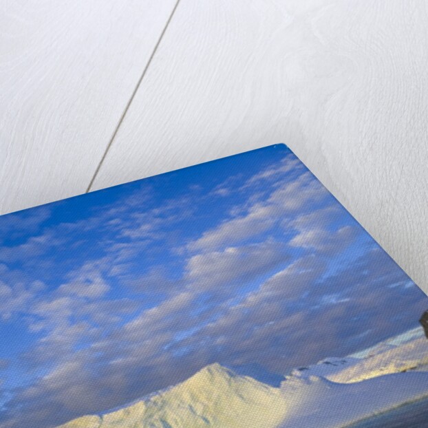 Wiggins Glacier in Early Evening Light by Anonymous