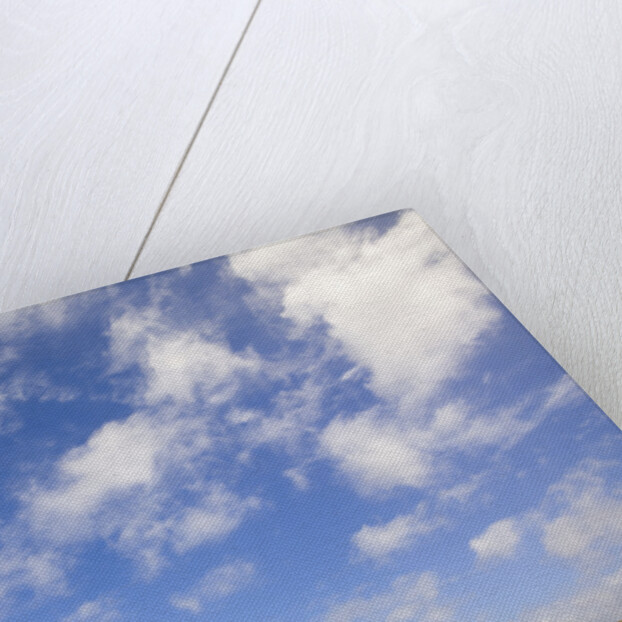 Cumulus Clouds above Tundra by Anonymous