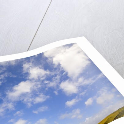 Cumulus Clouds above Tundra by Anonymous