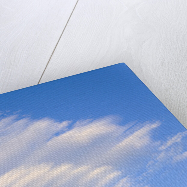 Clouds and Blue Sky by Anonymous
