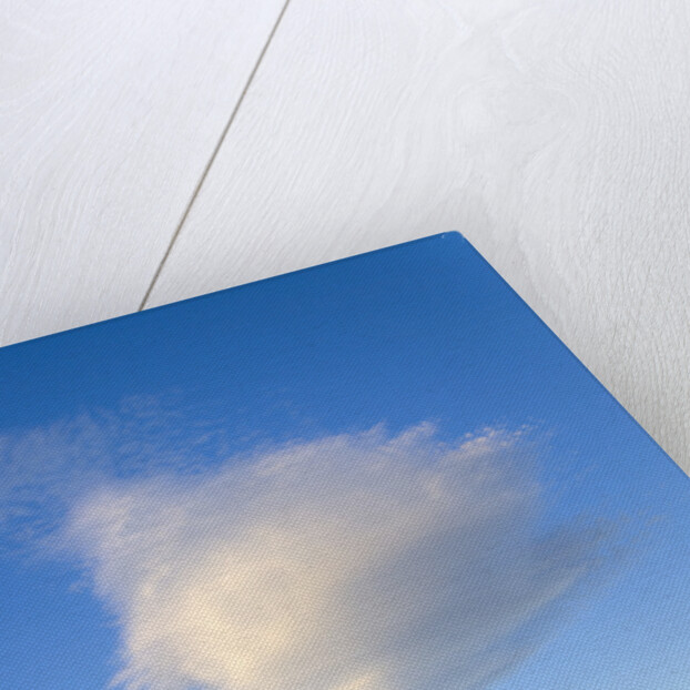 Cumulus Cloud in Blue Sky by Anonymous