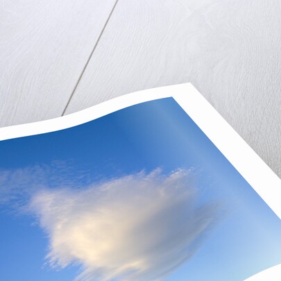 Cumulus Cloud in Blue Sky by Anonymous