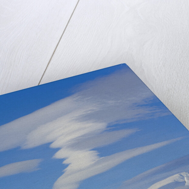 Lenticular Clouds Floating above Snow-covered Glacier by Anonymous