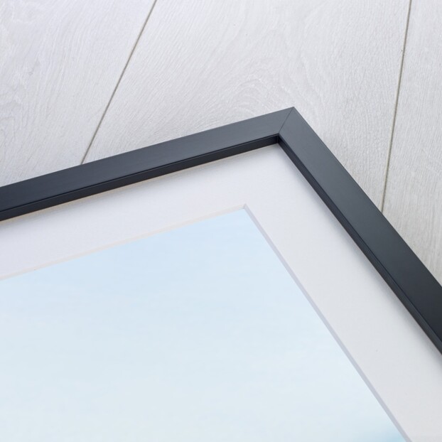 Gentoo Penguins Preparing to Jump in Water by Anonymous