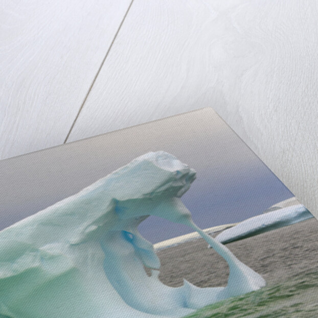Sculpted Icebergs Floating in Ocean by Anonymous
