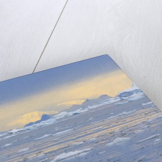 Ice Floating in the Southern Ocean by Anonymous