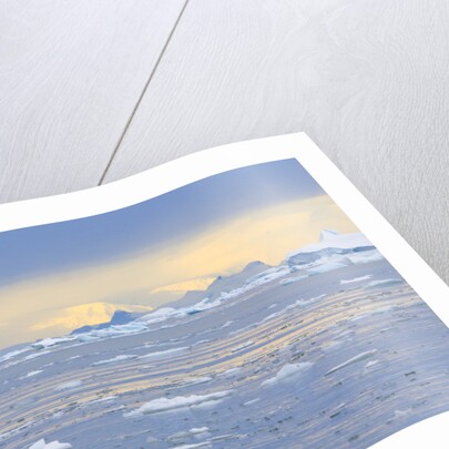 Ice Floating in the Southern Ocean by Anonymous