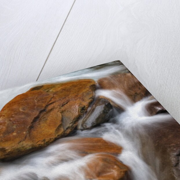 Stream in Great Smoky Mountains National Park by Anonymous