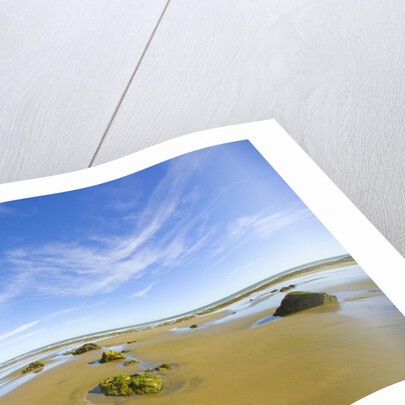 Sandy Beach at Low Tide, Valdez Peninsula by Anonymous