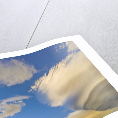 Cumulus and Lenticular Clouds at Sunrise by Anonymous