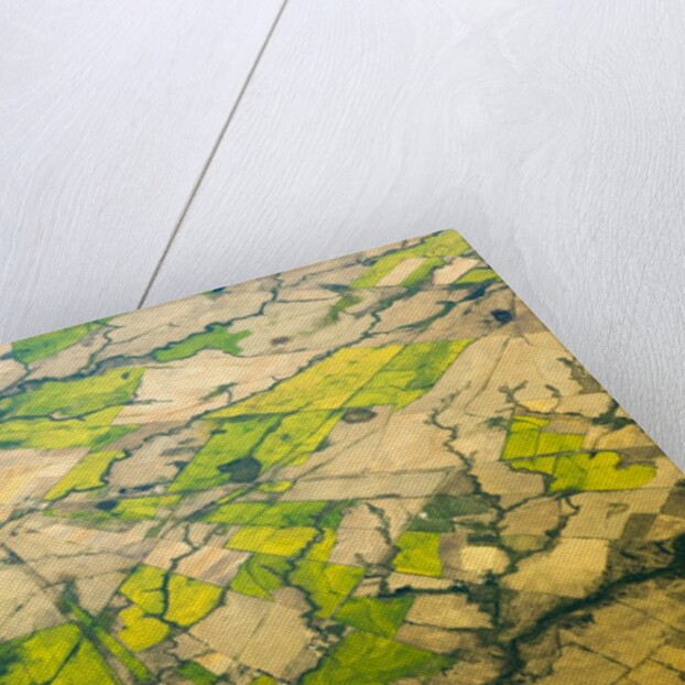 Green Agricultural Fields in Chile by Anonymous