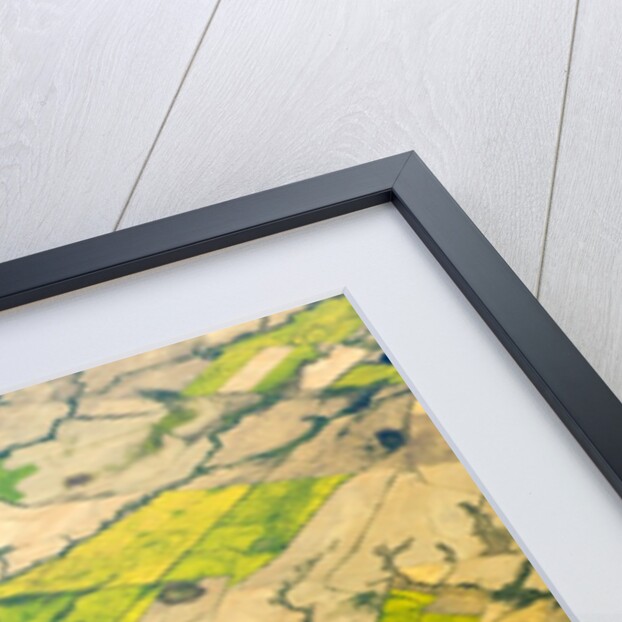 Green Agricultural Fields in Chile by Anonymous