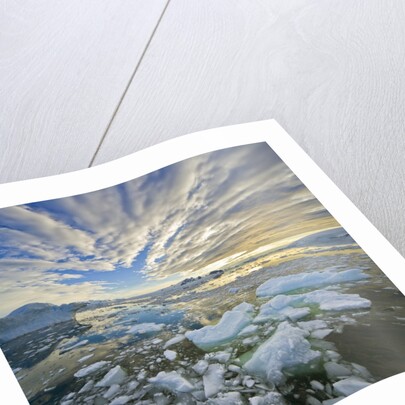 Bergy Bits in Holtedehl Bay Under an Evening Sky by Anonymous