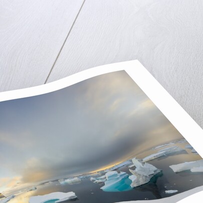 Evening Light on Mountains and Icebergs on Antarctic Peninsula by Anonymous