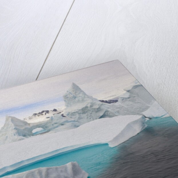 Stranded Icebergs in Shallow Bay Near Boothe Island by Anonymous
