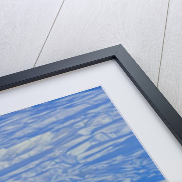 Wiggins Glacier Descending into Sea by Anonymous