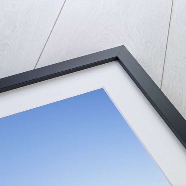 Jefferson Memorial by Anonymous