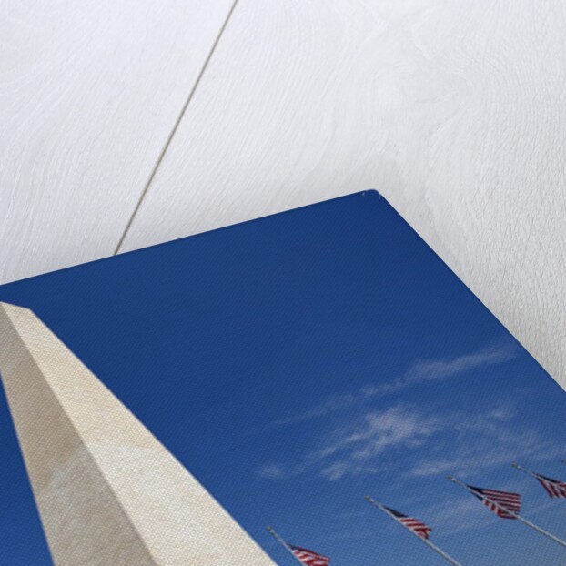 Washington Monument by Anonymous
