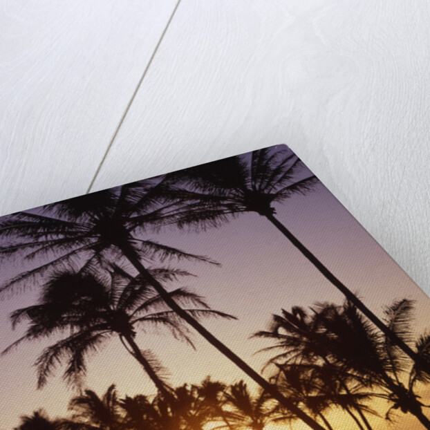 Sunset at Kihei Beach by Anonymous