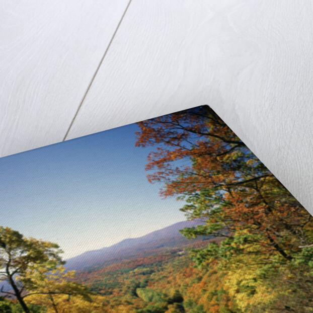 View into Valley from Amicalola Falls by Anonymous