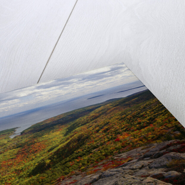 View from Top of Cadillac Mountain by Anonymous