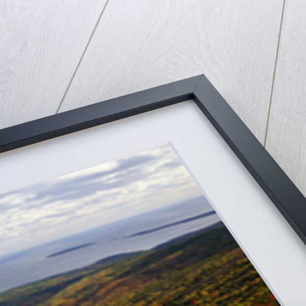 View from Top of Cadillac Mountain by Anonymous