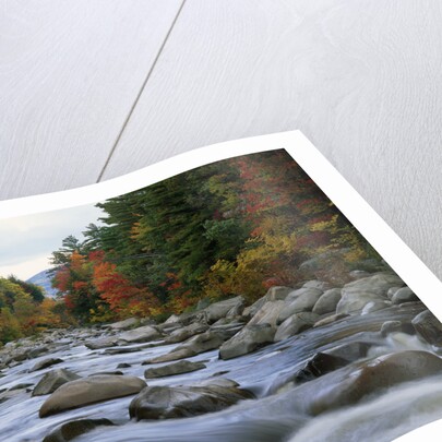 Swift River Flowing through Forest in Autumn by Anonymous