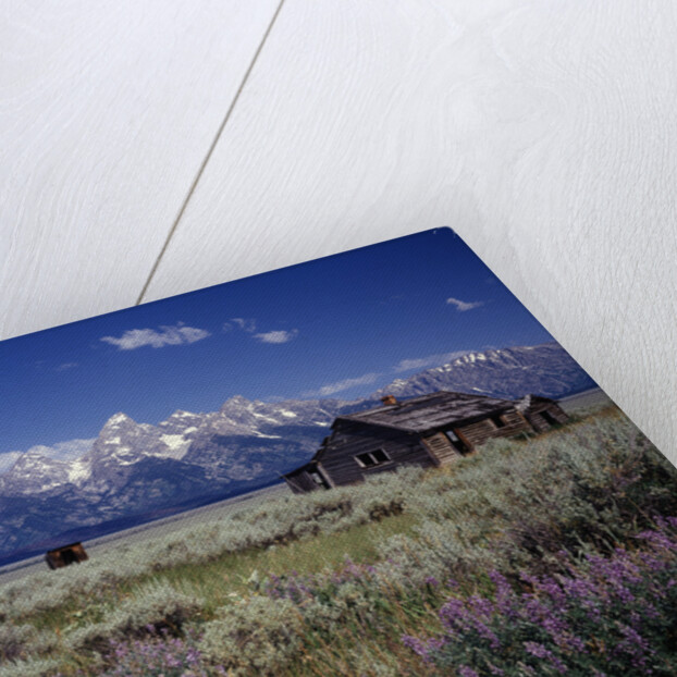 Pioneer Settlement at Jackson Hole by Anonymous