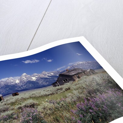 Pioneer Settlement at Jackson Hole by Anonymous