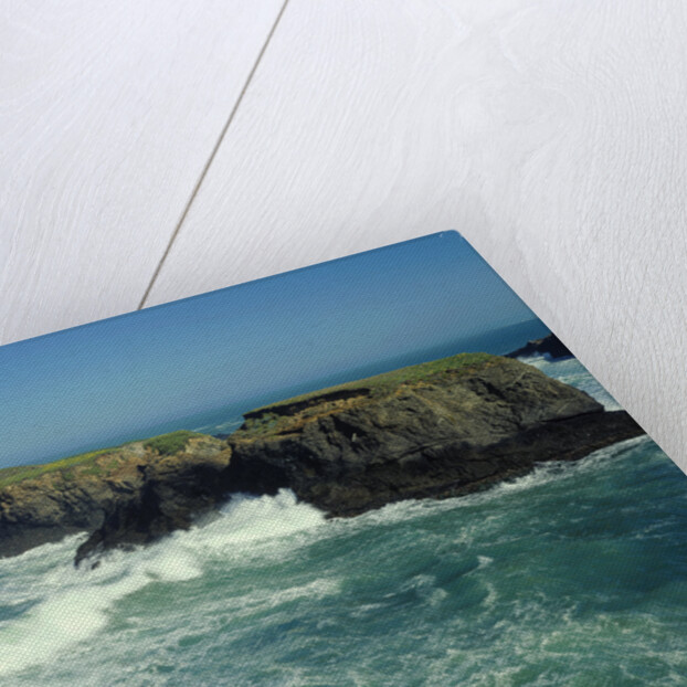 Mendocino Coast, CA by Anonymous