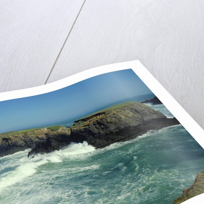 Mendocino Coast, CA by Anonymous