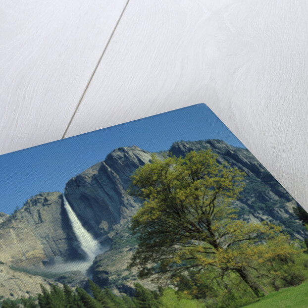 Yosemite Falls by Anonymous