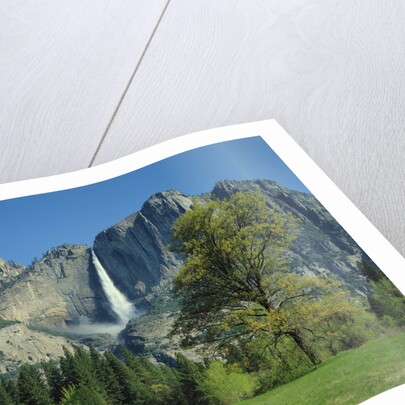 Yosemite Falls by Anonymous