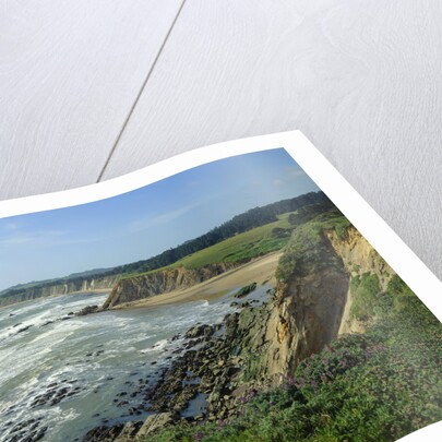 Sonoma Coast by Anonymous