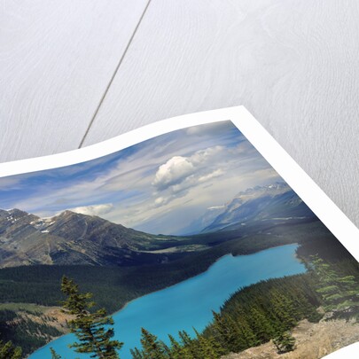 Peyto Lake by Anonymous