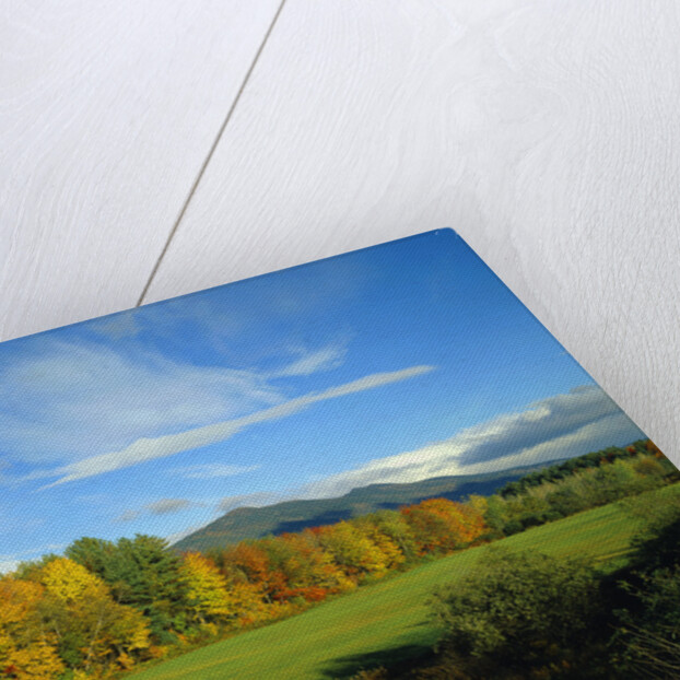 White Mountains by Anonymous