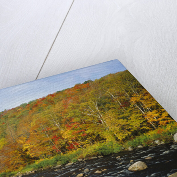 Autumn Colors Along Au Sable River by Anonymous