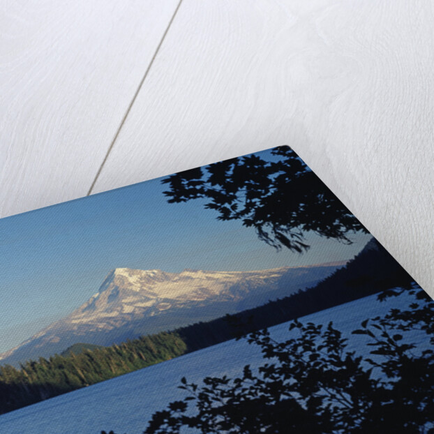 Lost Lake and Mount Hood by Anonymous