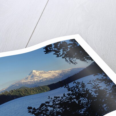 Lost Lake and Mount Hood by Anonymous