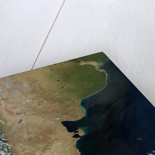 Patagonia and the Pampas of Argentina by Anonymous