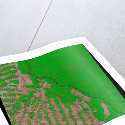 Deforestation in Rondonia State of Brazil by Anonymous