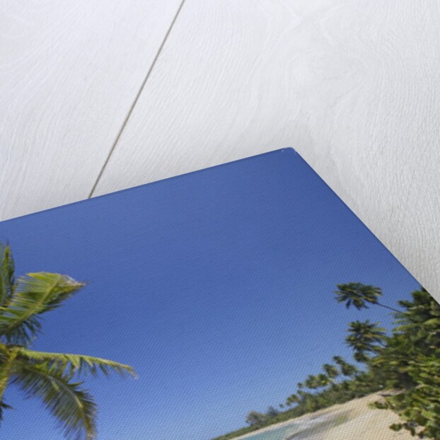 Tres Palmitas Beach by Anonymous