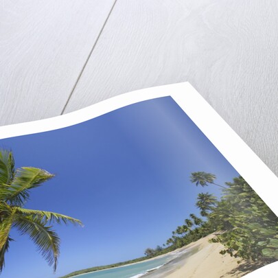 Tres Palmitas Beach by Anonymous