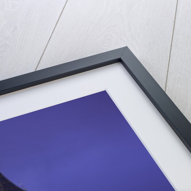 Big Ben Clock Tower by Anonymous