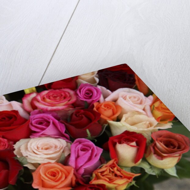 Roses for Sale at Flower Market by Anonymous